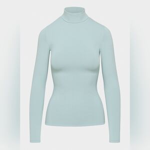 Aritzia Wilfred Celestial contoured turtleneck